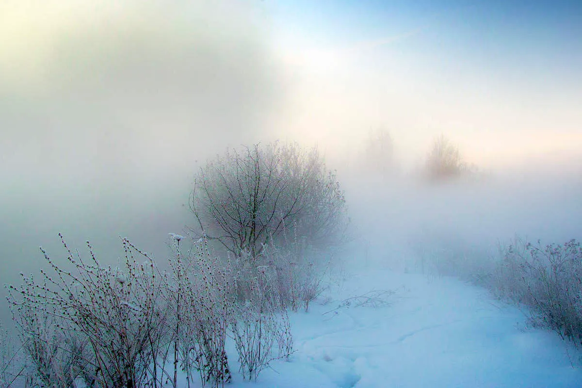Похолодает до -12°, без осадков, зато туман