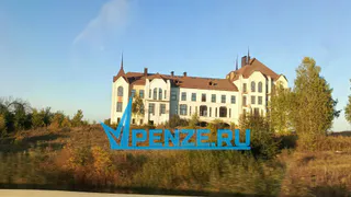 Пензенцы заинтересовались судьбой  заброшенного замка-новодела