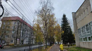 22 октября вновь принесет в Коми мокрый снег и порывистый ветер