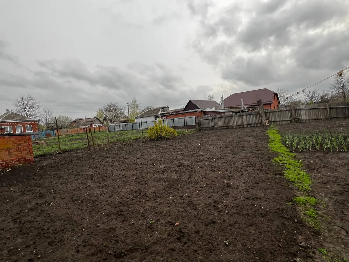 Назван овощ, который умерщвляет почки: в Европе его не едят, а в России в нём души не чают