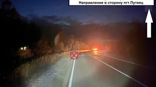 В Коми 73-летнего водителя автомобиля "Нива" притормозило дерево