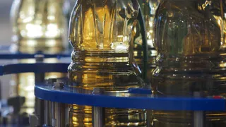 Если видите его, берите сразу: в Роскачестве назвали лучшие марки подсолнечного масла