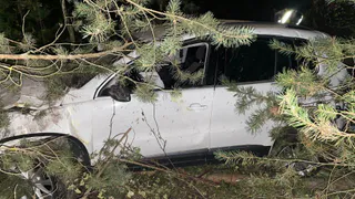 В Рязанском районе в ДТП погиб 20-летний Volkswagen Tiguan