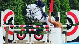 Упал на наездницу: в Подмосковье конь убил 19-летнюю девушку