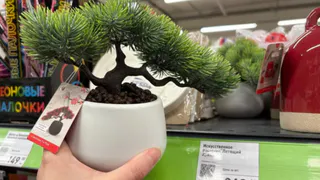 Заглянула в Фикс Прайс на минутку - а вышла с кучей сувениров в азиатском стиле: показываю 6 классных товаров