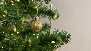 «Новогодняя столица — в песке и темноте»: рязанцы спорят с праздничным отчётом губернатора