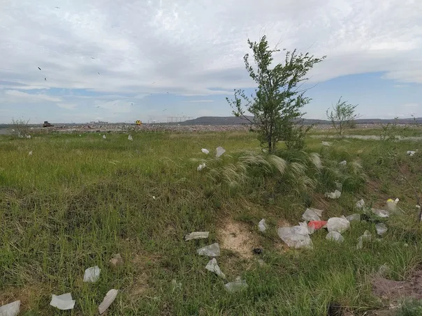 Ветер разнес мусор с полигона ТКО в Магнитогорске: прокуратура вынесла предписание