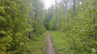 В Рязанской области объявлен высокий уровень пожарной опасности