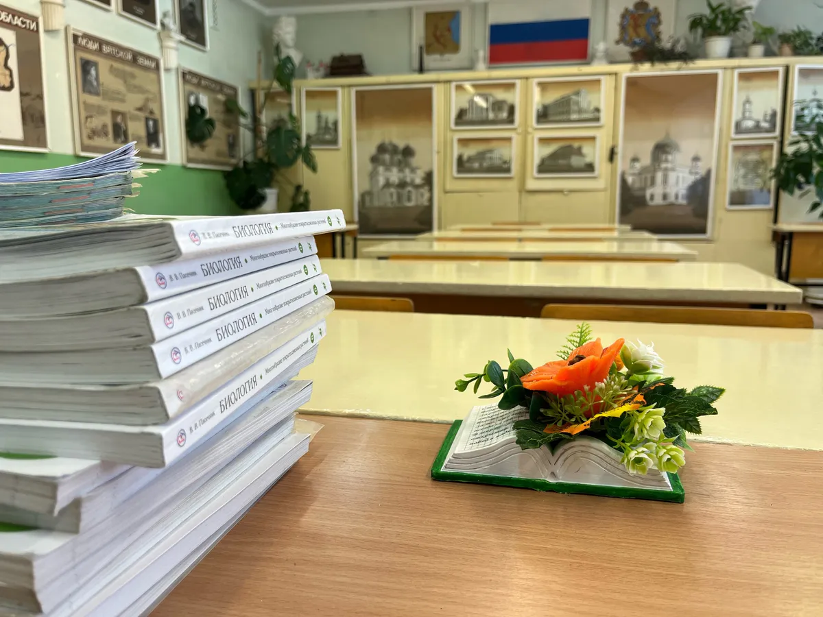 Мыши в школах Челнов: прокуратура наказала лицей и центр образования