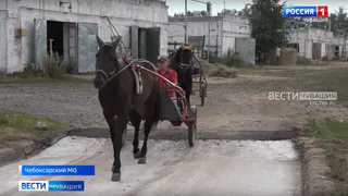 Наездник рысистых пород лошадей рассказал о секретах мастерства и подготовке к Кубку Чувашии