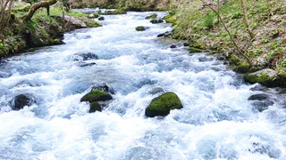 "Это настоящий адский рай. Мы отбивались от скорпионов": туристка отдохнула в Абахзии и оставила честный отзыв