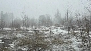 В Коми 18 ноября ожидаются снегопады и метель