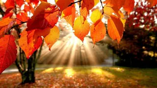 В Рязанской области ожидается до +18 градусов