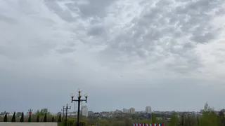 Черемуховые заморозки обрушатся на Россию и покосят весь урожай