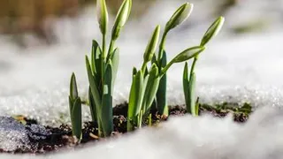 Астрологи: март будет особенным месяцем