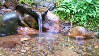 Экологи: вода в местных родниках заражена нитратами
