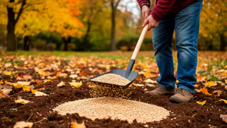 Почве до ноября — обязательно: раскидываю 3 крупы — весной земля как после тонны навоза 