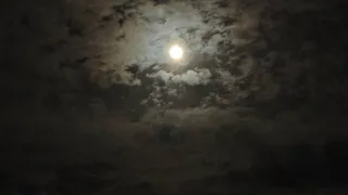 В Вадинском районе обязали власти наладить освещение в селе Ягановка