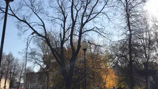 Рязанские СМИ сообщили о несуществующей "аллее зонтиков"