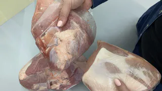 В Нижнекамске стартует сезон весенних сельскохозяйственных ярмарок