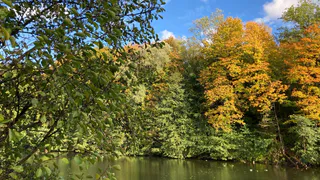 Погода на этой неделе: в четверг в Рязани потеплеет