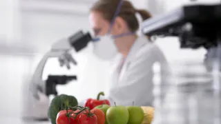 Ученые заявляют: сельхозпродукция из юго-западных районов Брянщины безопасна