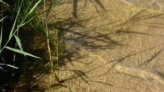 Виноваты дожди: у Борковского карьера  произошел подмыв грунта