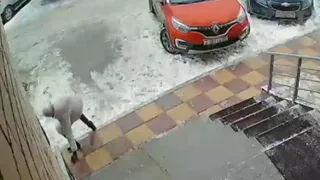 В Песочне девушка упала около подъезда и получила серьезный перелом