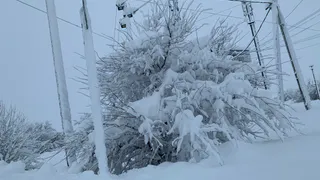 «1800 человек в холоде»: рязанцы поддержали обращение жителей Гусь-Железного, но реакции властей так и нет