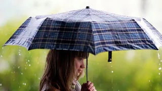 В Брянской области 19 августа ожидаются небольшие дожди