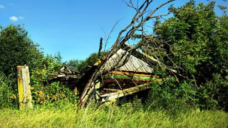 Брянщина вымирает или сосредотачивается?