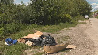 На дачных участках в Рязани обнаружили пакеты с мясом неизвестного происхождения