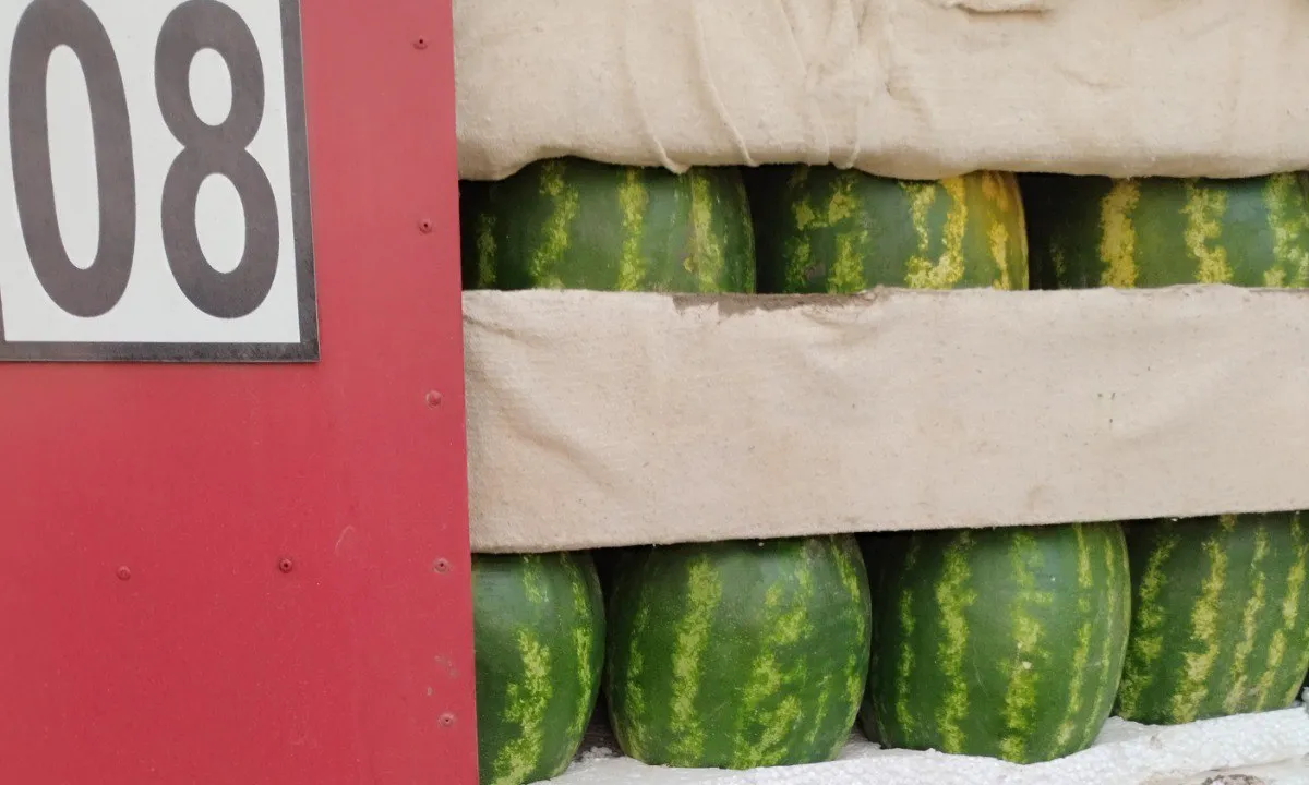 60 тонн казахстанских бахчевых заблокированы на границе Южного Урала