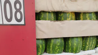 60 тонн казахстанских бахчевых заблокированы на границе Южного Урала