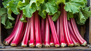 Овощ, который умертвляет почки: в Европе его не едят, а в России многие обожают