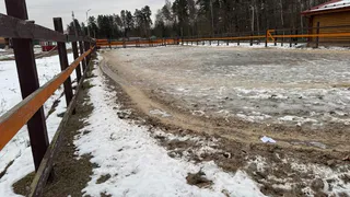 Директора туристической базы в Петушинском районе будут судить за падение ребёнка с лошади