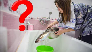 Рязанцы сомневаются, что вода пахнет рыбой из-за тепла: авторская колонка от неравнодушной жительницы города