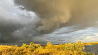 России она не нужна, а в Китае с руками отрывают: Деревенские аграрии нашли применение бесхозному урожаю