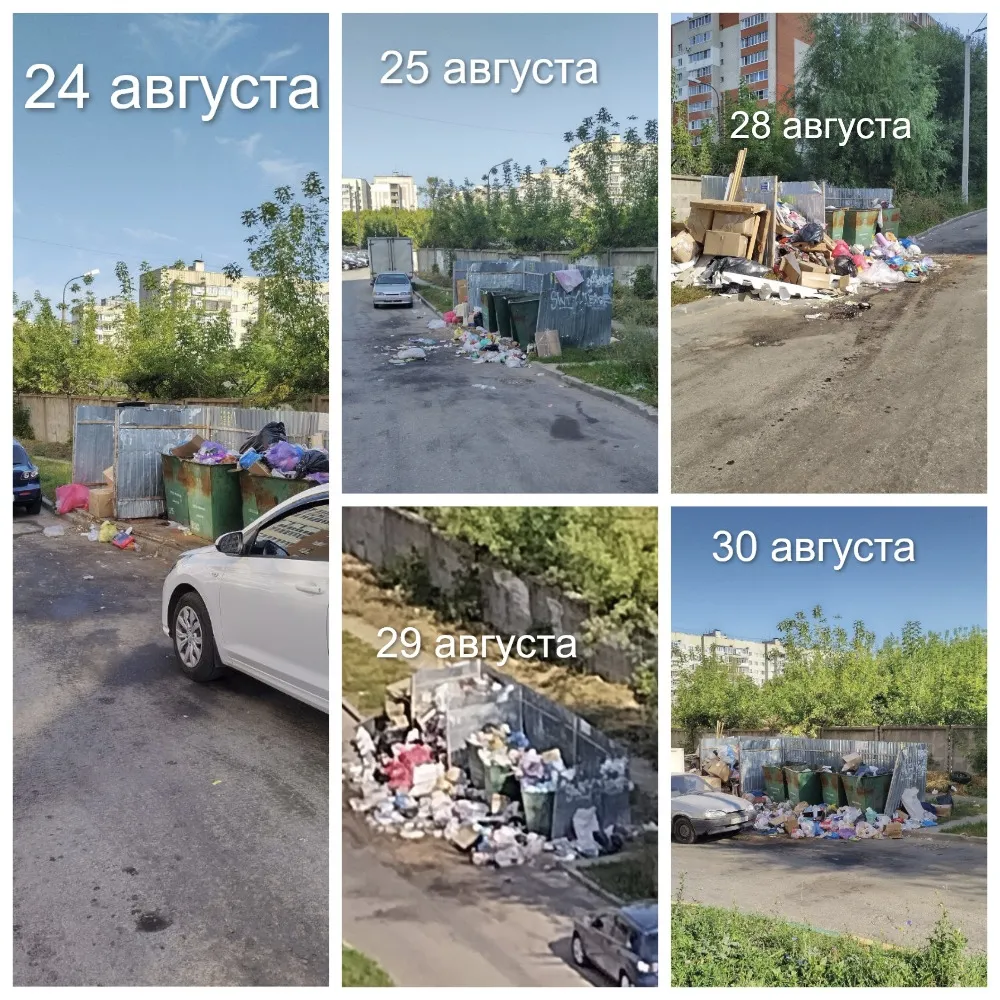Жители рязанской многоэтажки несколько лет добиваются переноса мусорной площадки