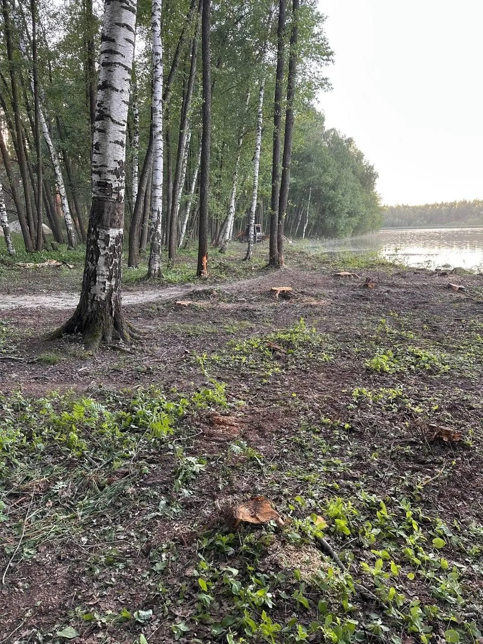 Рязанцы пожаловались на строительный мусор у озера Сегденское