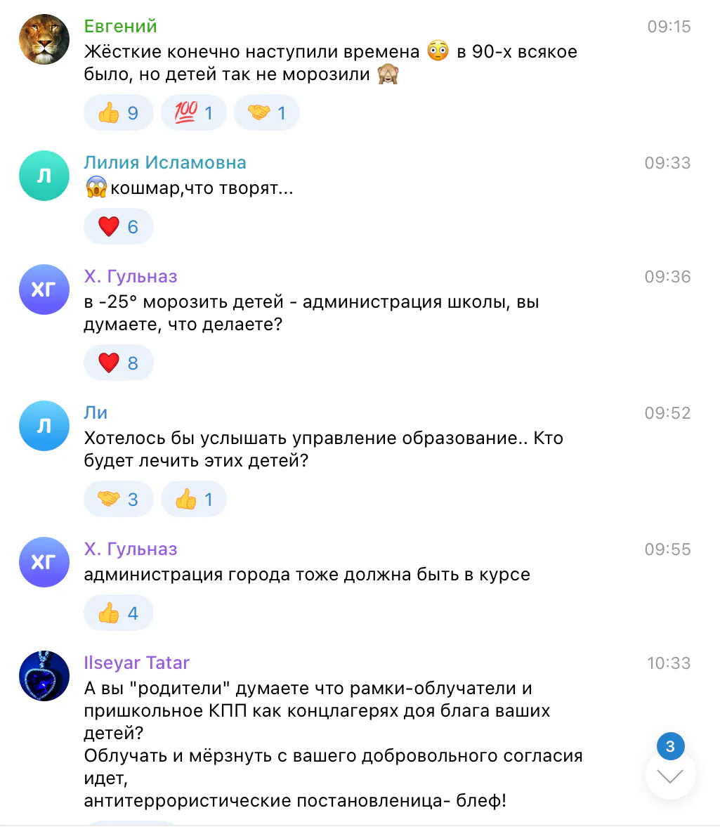 Родители возмущены: дети полчаса мёрзли на морозе в очереди у лицея № 14 Нижнекамска