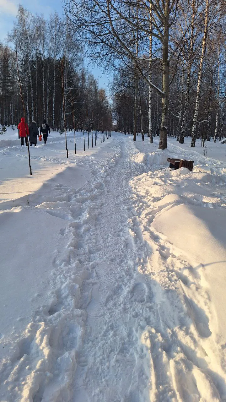 Сугробы, колеи и неубранный мусор: жители Нижнекамска жалуются на проблемы с зимним содержанием города