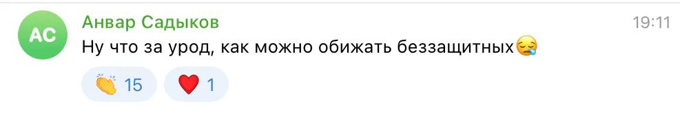 В Заинске нашли мёртвую кошку: возможно это Васька, которую избил водитель