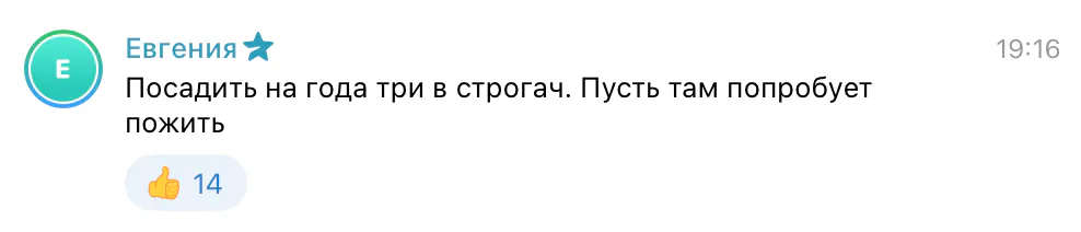 В Заинске нашли мёртвую кошку: возможно это Васька, которую избил водитель