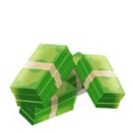 $1000 Coins