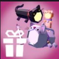 Kitty Bundle