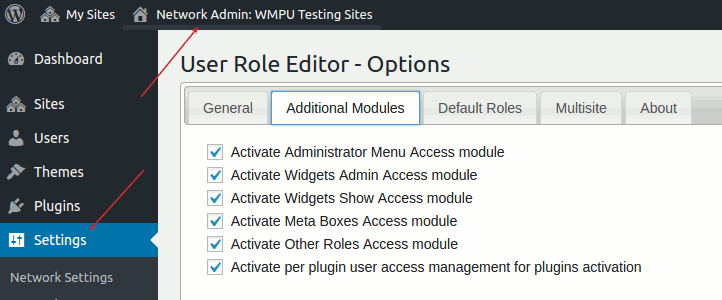 User Role Editor Pro - Settings Page (multisite)