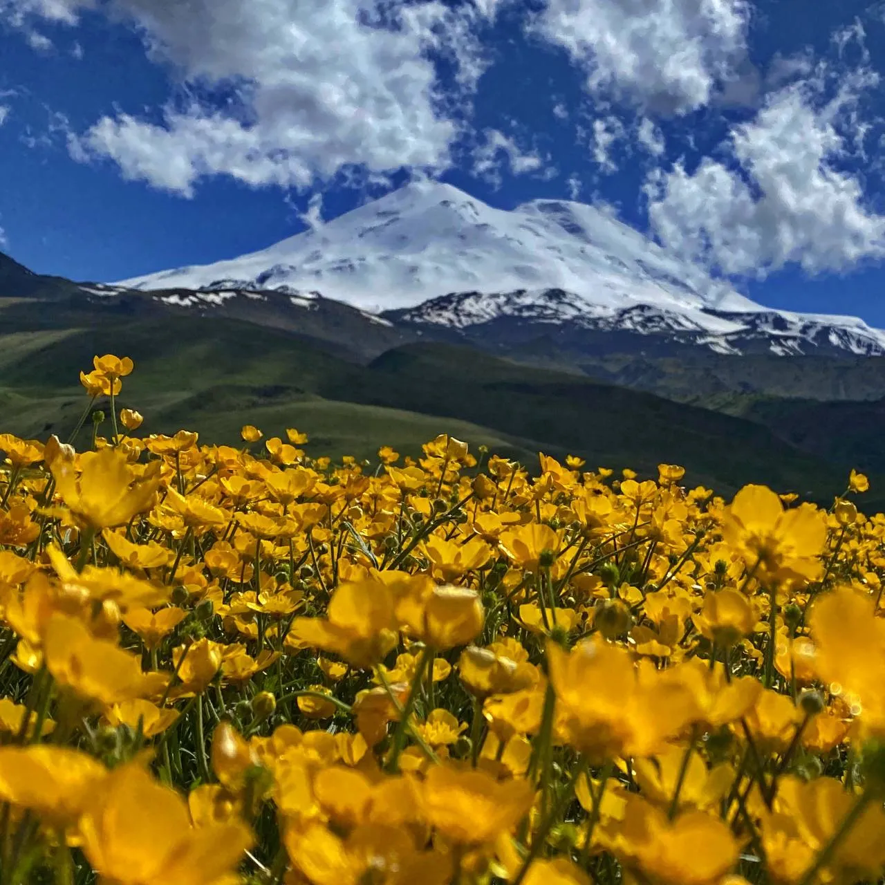 Главное изображение экскурсии