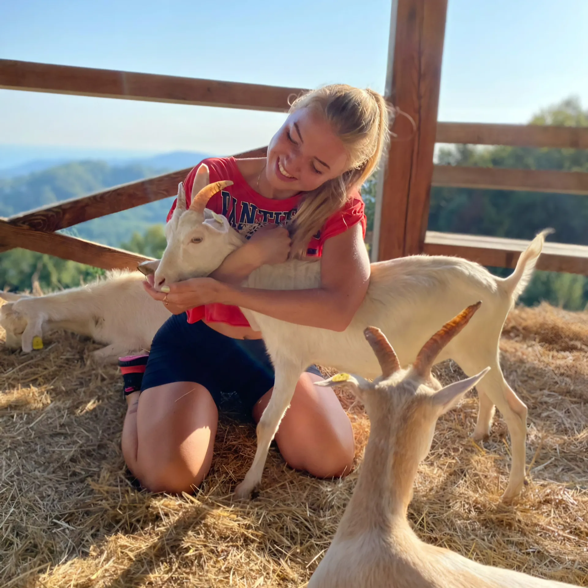 Главное изображение экскурсии