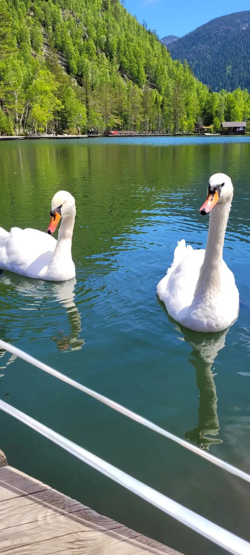 Второе изображение экскурсии